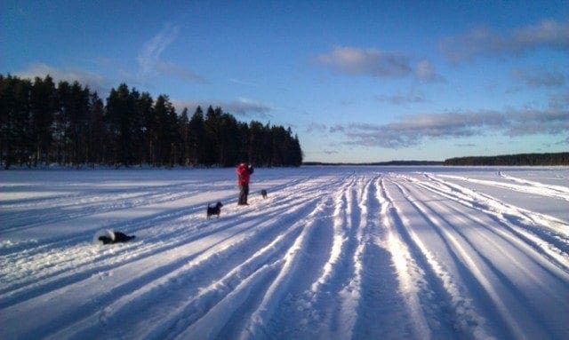 Isäntä ja koiruudet Vangasjärvellä