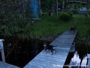 Oltiin me mökillä ulkonakin